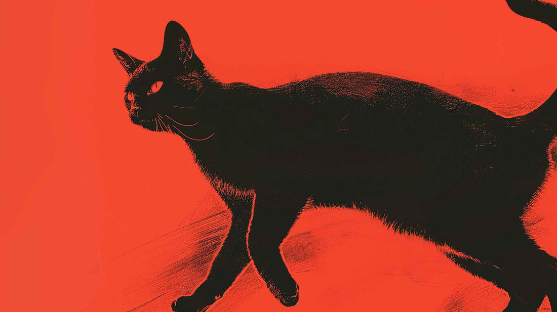 Cat-Zoomies: The Wild Feline Frenzy Explained