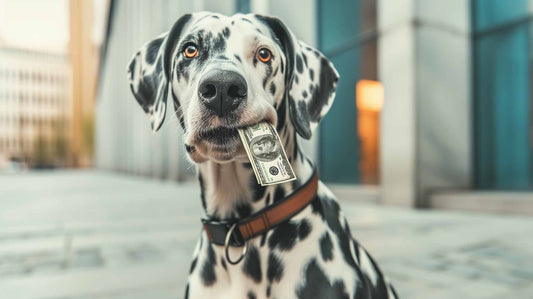 What do You Know About Dog Taxes?