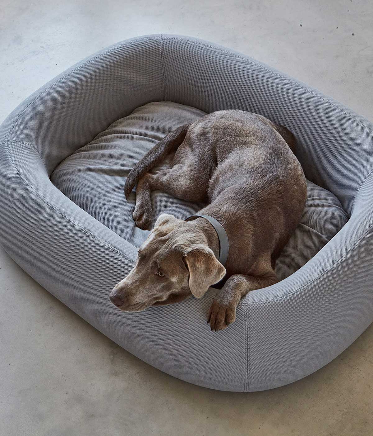 MiaCara Barca Dog Bed