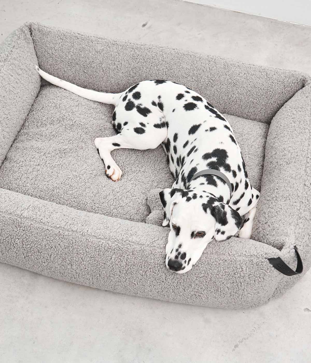 MiaCara Senso Box Dog Bed