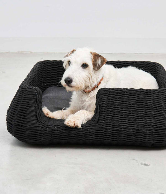 MiaCara Mio Dog Basket