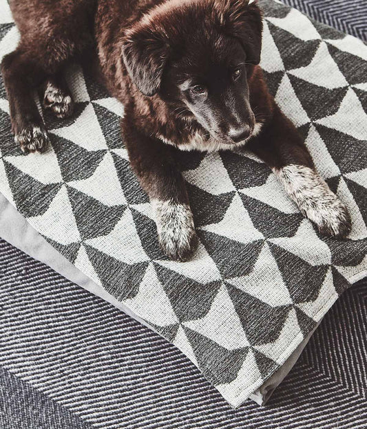 MiaCara Cielo Dog Blanket