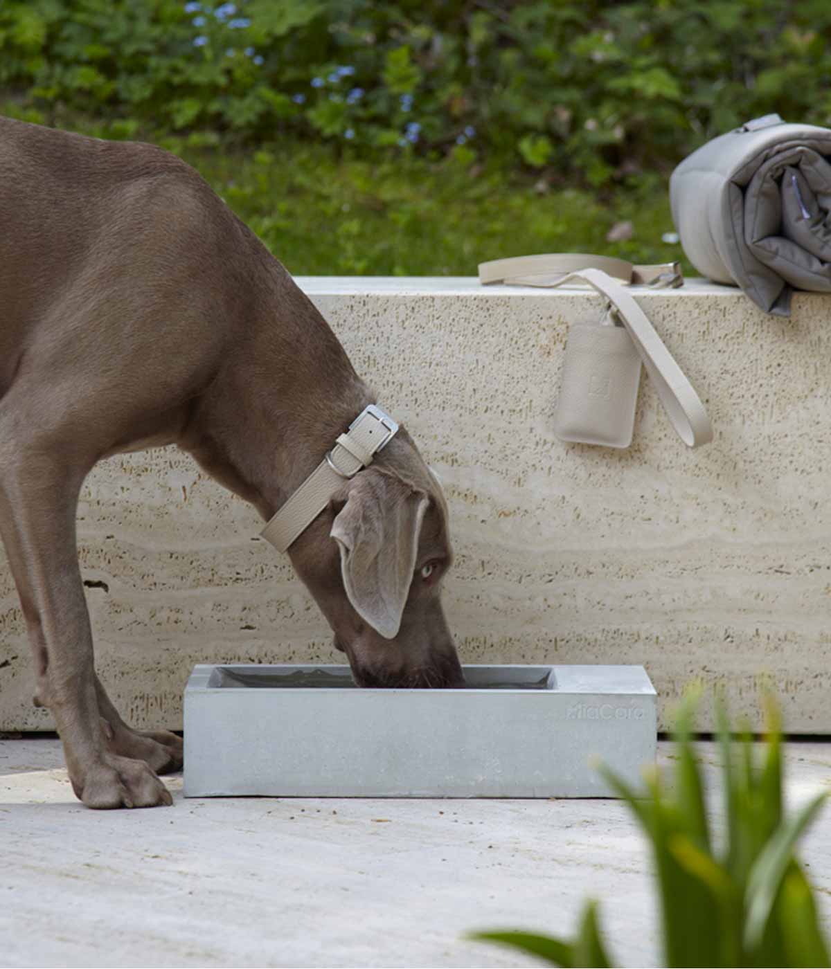 MiaCara Trogolo Outdoor Dog Bowl