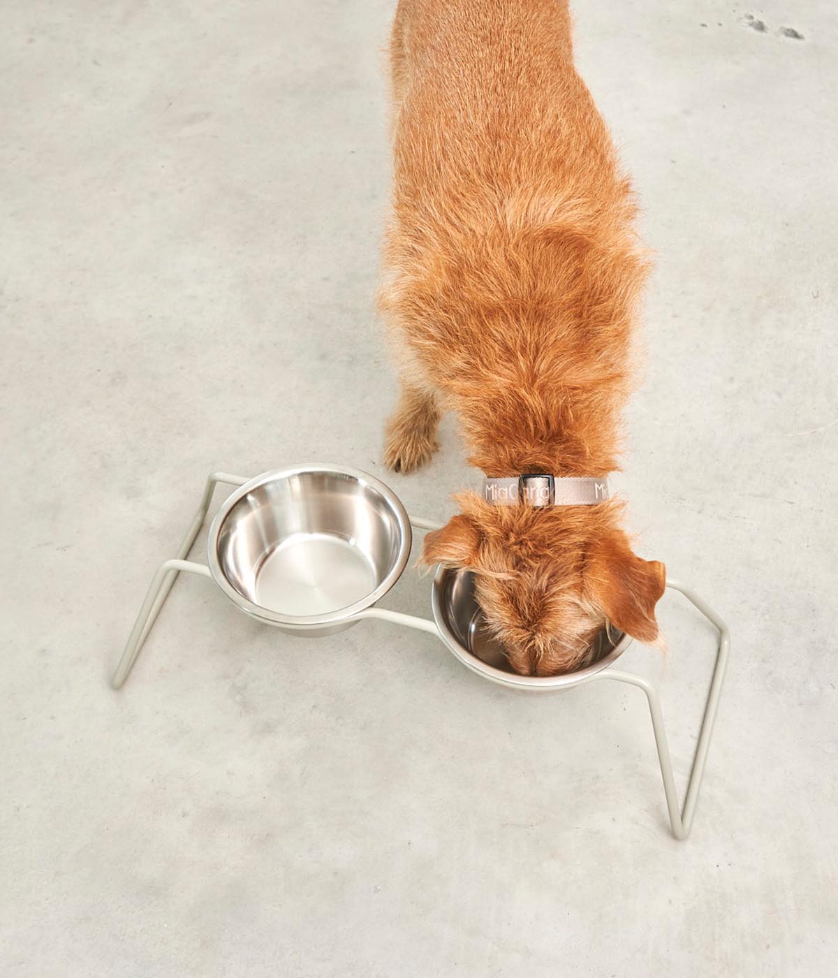 MiaCara Cena Dog Feeder With Stainless Steel Bowls