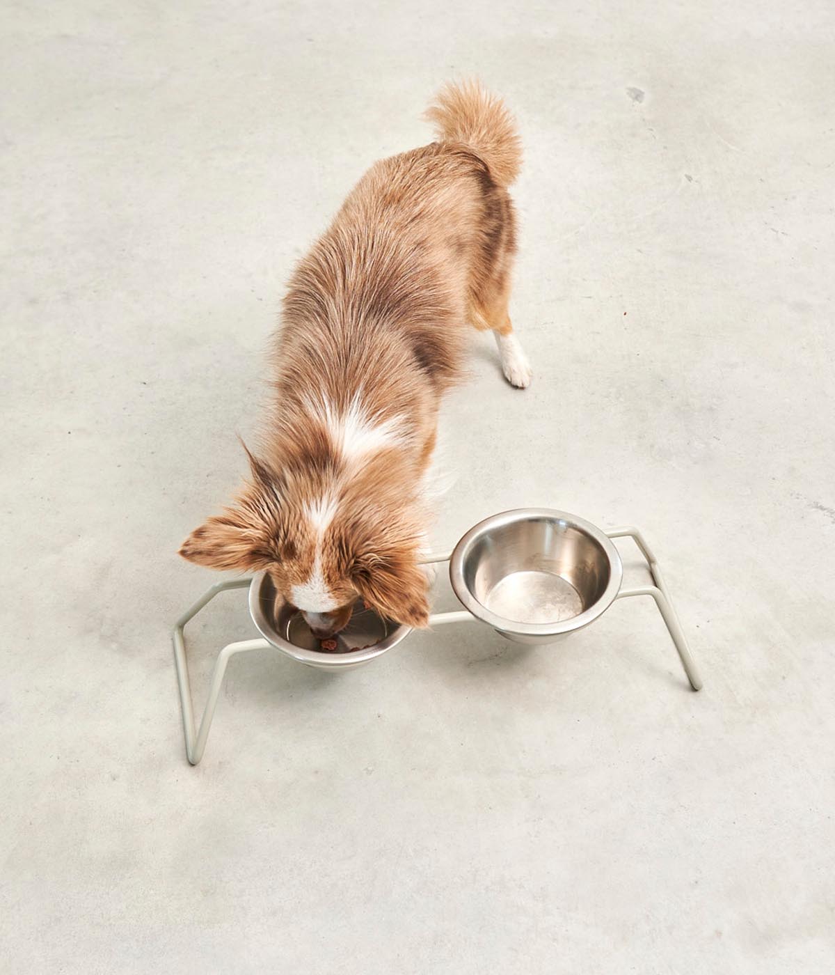 MiaCara Cena Dog Feeder With Stainless Steel Bowls