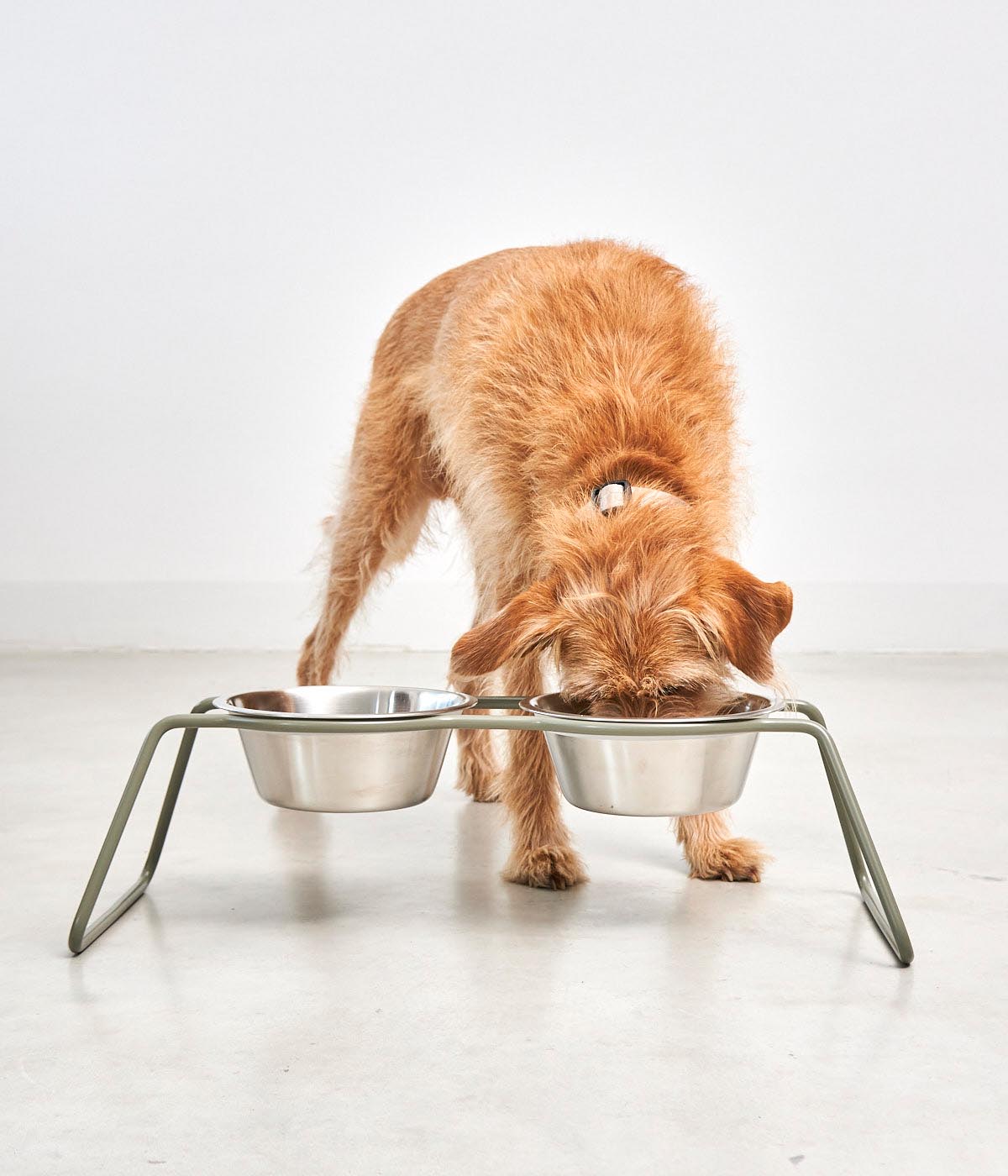 MiaCara Cena Dog Feeder With Stainless Steel Bowls