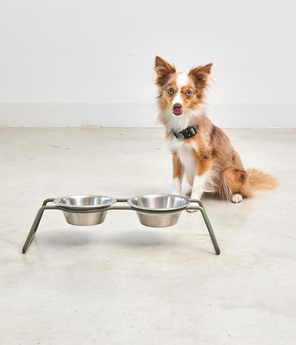 MiaCara Cena Dog Feeder With Stainless Steel Bowls