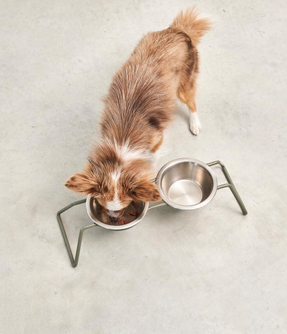 MiaCara Cena Dog Feeder With Stainless Steel Bowls