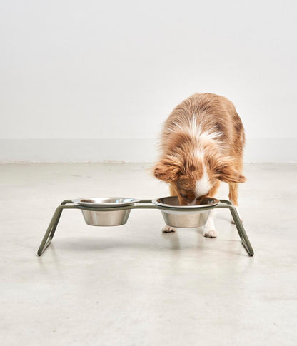 MiaCara Cena Dog Feeder With Stainless Steel Bowls