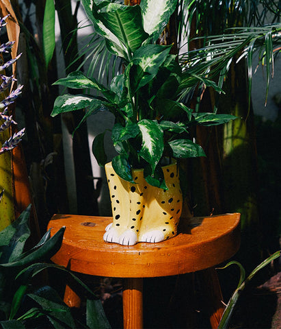 Cheetah Plant Pot