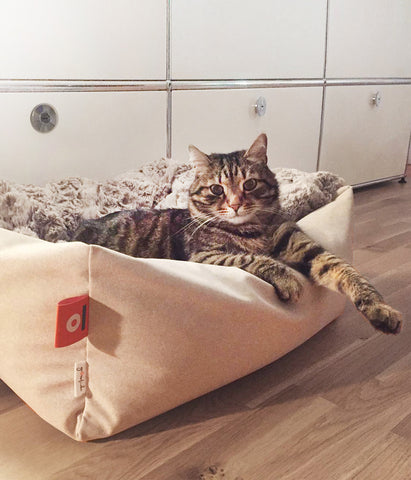 LITTLE PIE Cat Bed – Size S