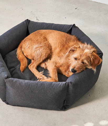 MiaCara Felice Dog Bed Hexagon