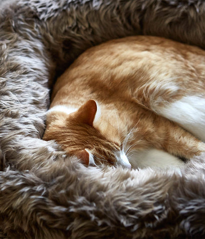 MiaCara Lana Cat Bed