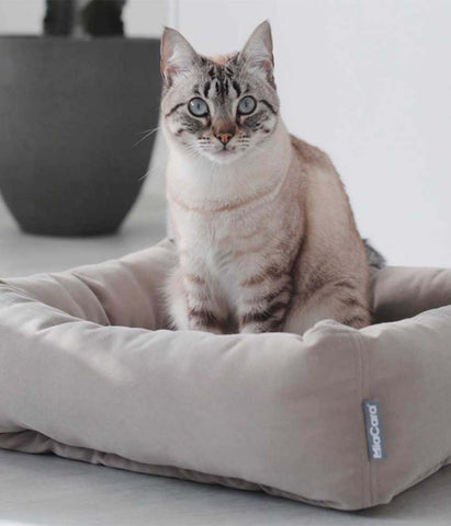 MiaCara Velluto Cat Bed
