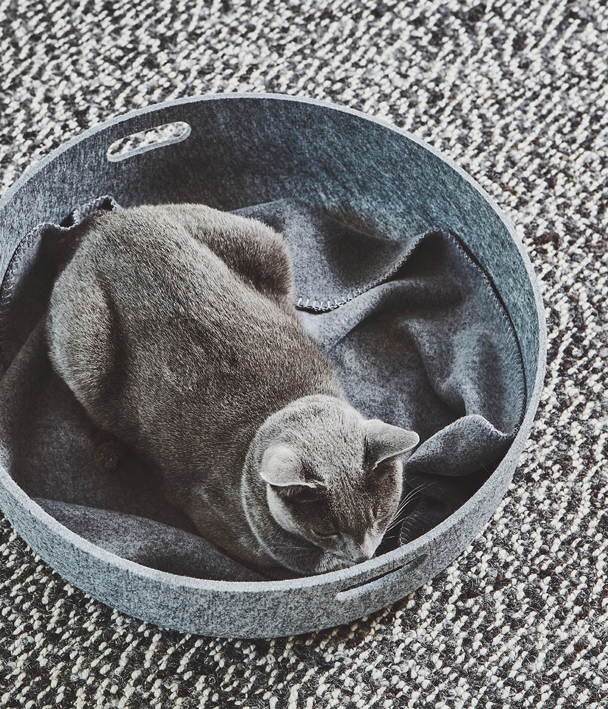 MiaCara Unica Cat Blanket