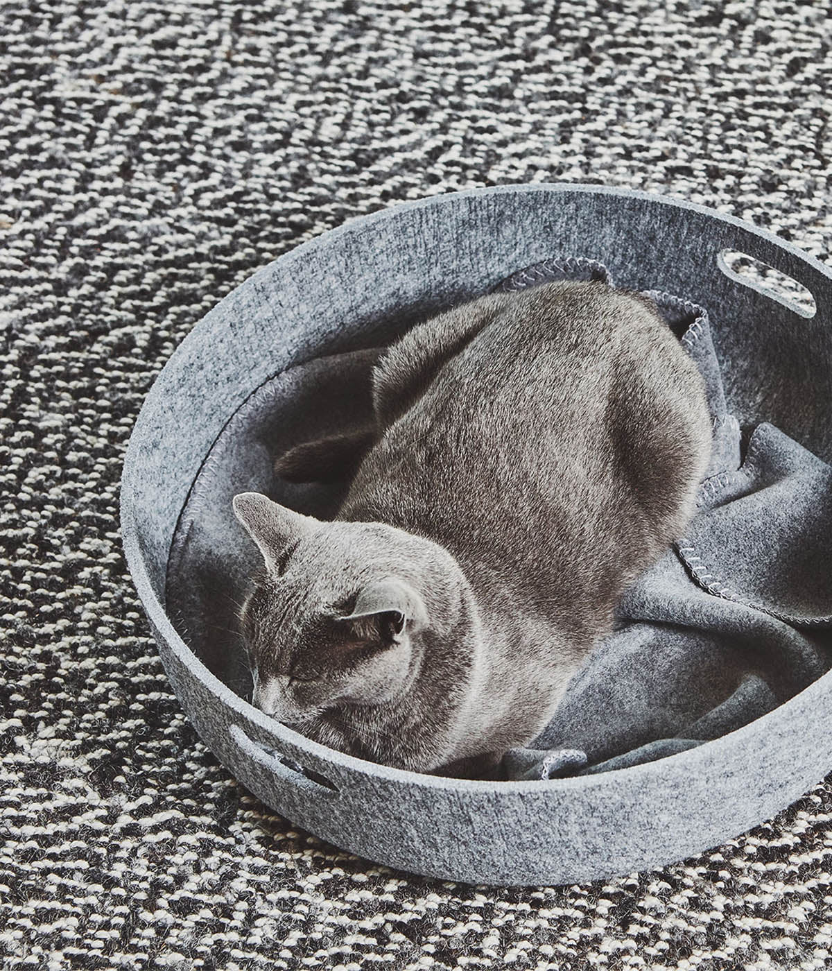 MiaCara Unica Cat Blanket