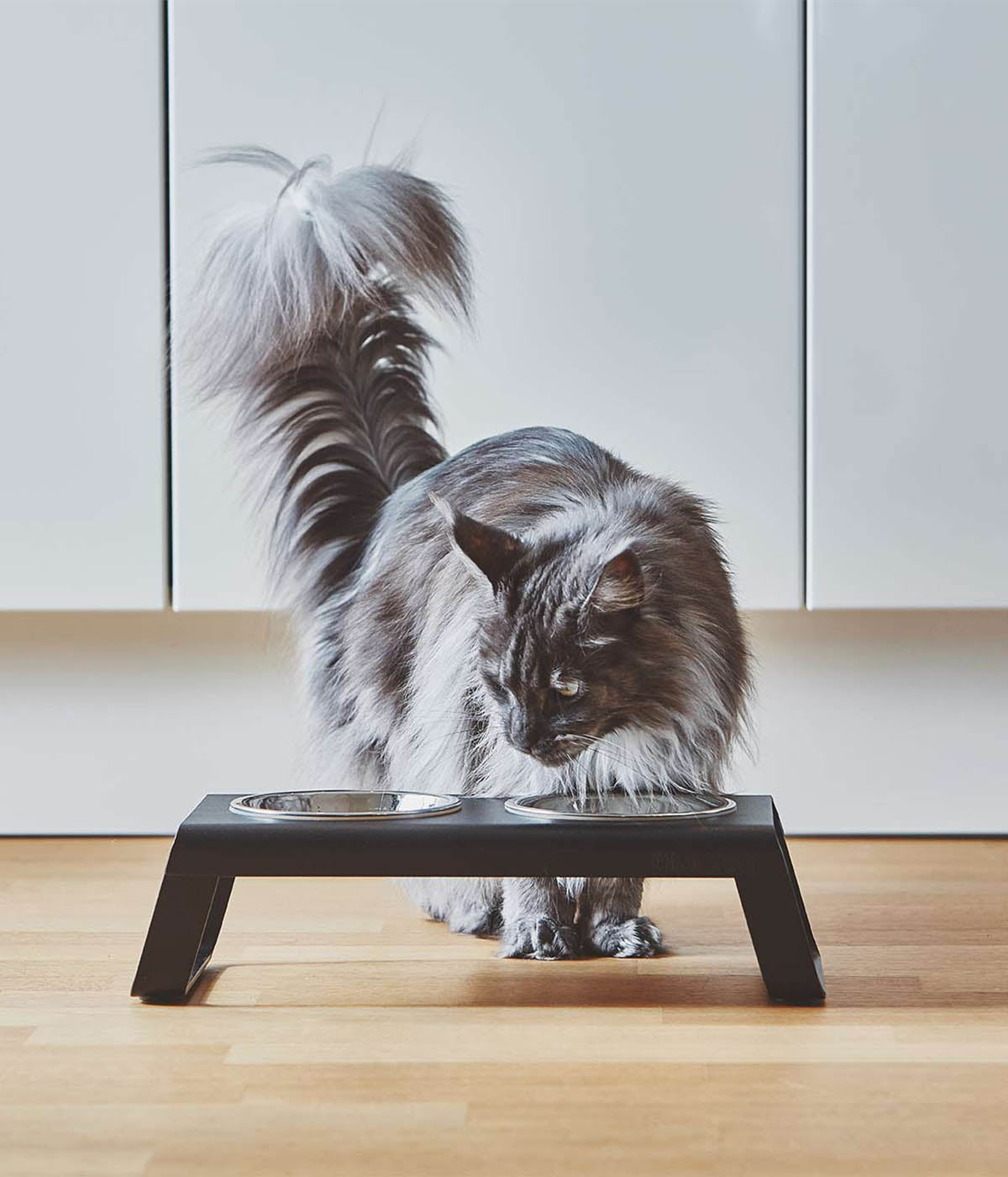 MiaCara Desco Cat Feeder Alu with Stainless Steel Bowls