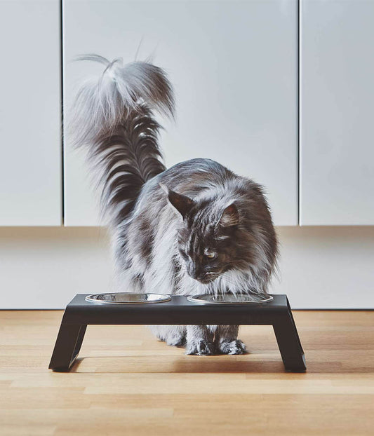 MiaCara Desco Cat Feeder Alu with Stainless Steel Bowls
