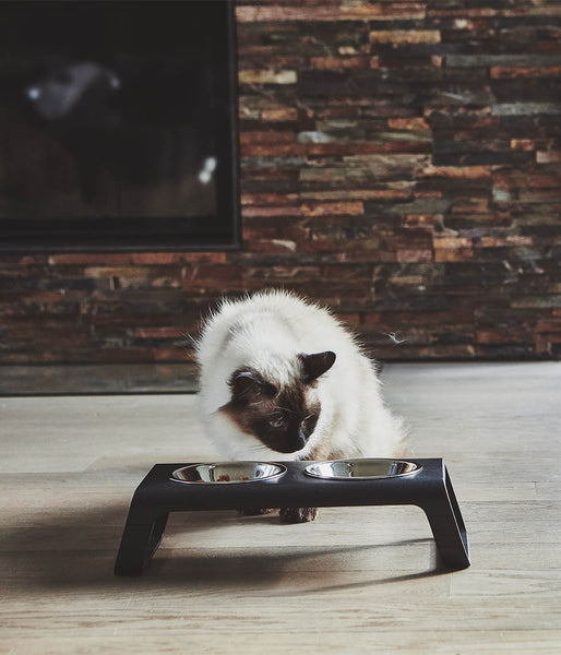 MiaCara Desco Cat Feeder | Shop Elevated Bowls for Cats / White