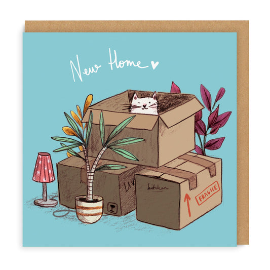 New Home Cat Boxes Greeting Card 1600
